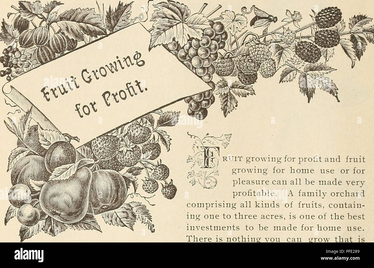 . Descriptive catalogue of Mill Creek Nurseries : fruit growing, its profits and slect market varieties. Nurseries (Horticulture), Georgia, Catalogs; Vegetables, Catalogs; Fruit trees, Catalogs. 32. $&gt;.. Br( RUIT growing for profit and fruit growing for home use or for pleasure can all be made very profitable. A family orchard comprising all kinds of fruits, contain- ing one to three acres, is one of the best investments to be made for home use. There is nothing you cau grow that is more healthful than fruit. The more we consume the less medical bills we have to pay. For profit, there is no Stock Photo