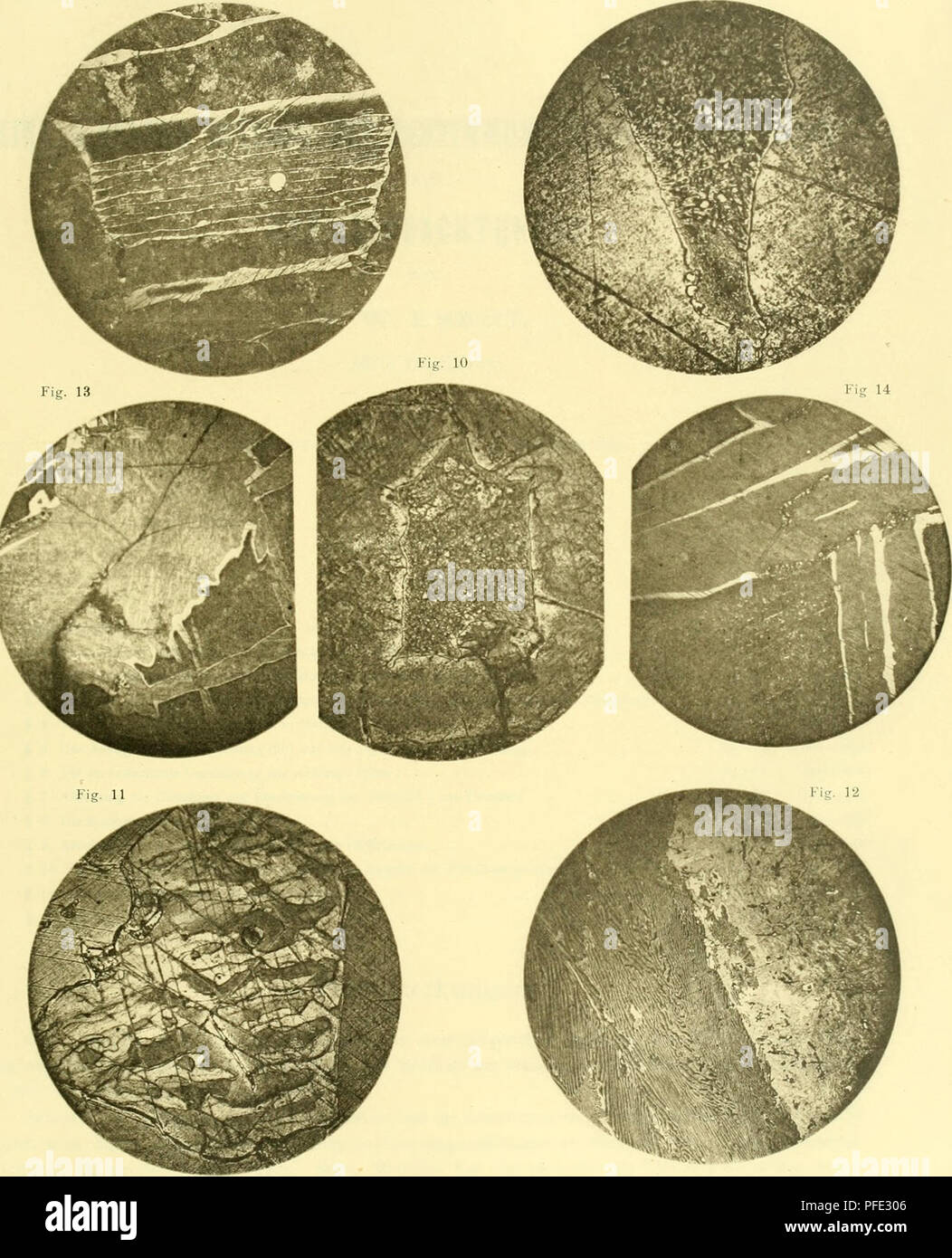 This scholarly text contains meteorite studies published by the ...
