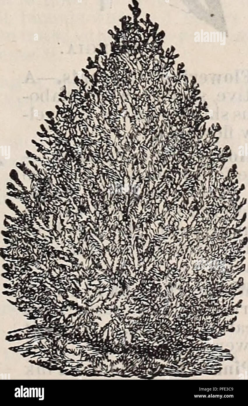 This catalog provides detailed descriptions of proven apple varieties ...