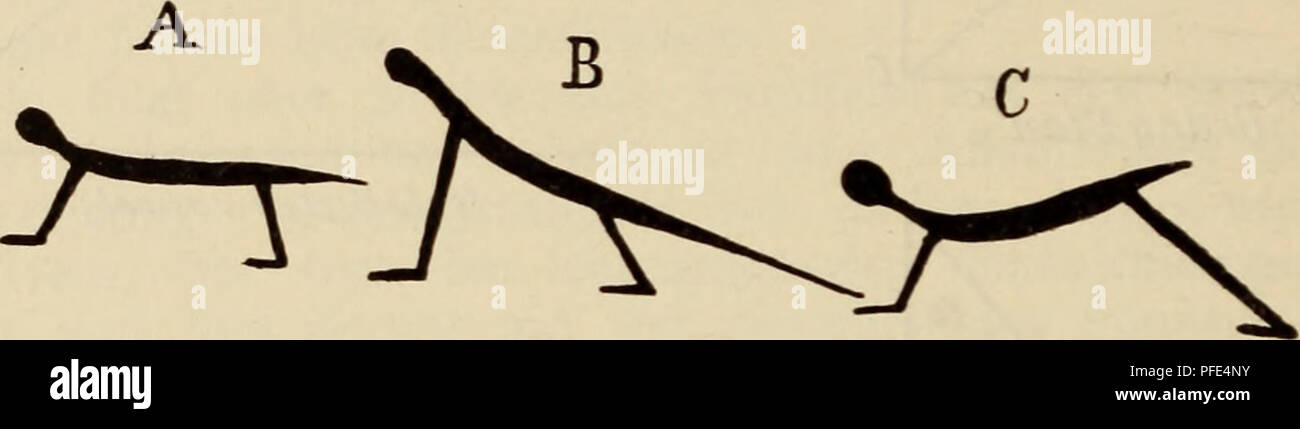 Page 3 Hal B High Resolution Stock Photography And Images Alamy