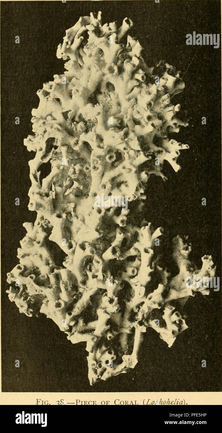 The depths of the ocean a general account of the modern science of oceanography