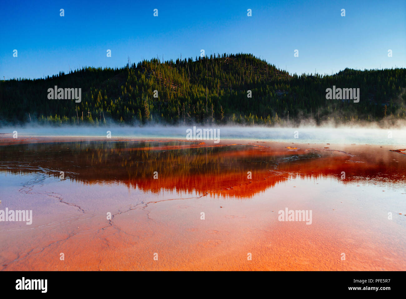 Grand Prismatic Spring at sunset, Yellowstone National Park, USA Stock Photo