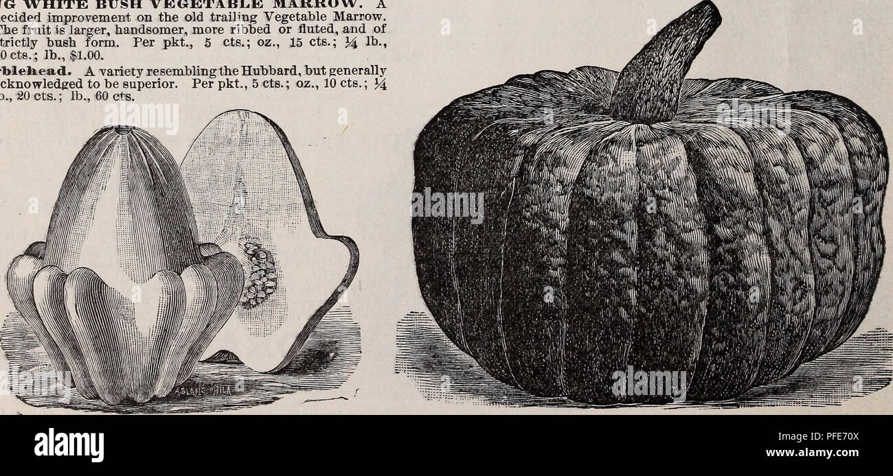 Fluted seeds hi-res stock photography and images - Alamy