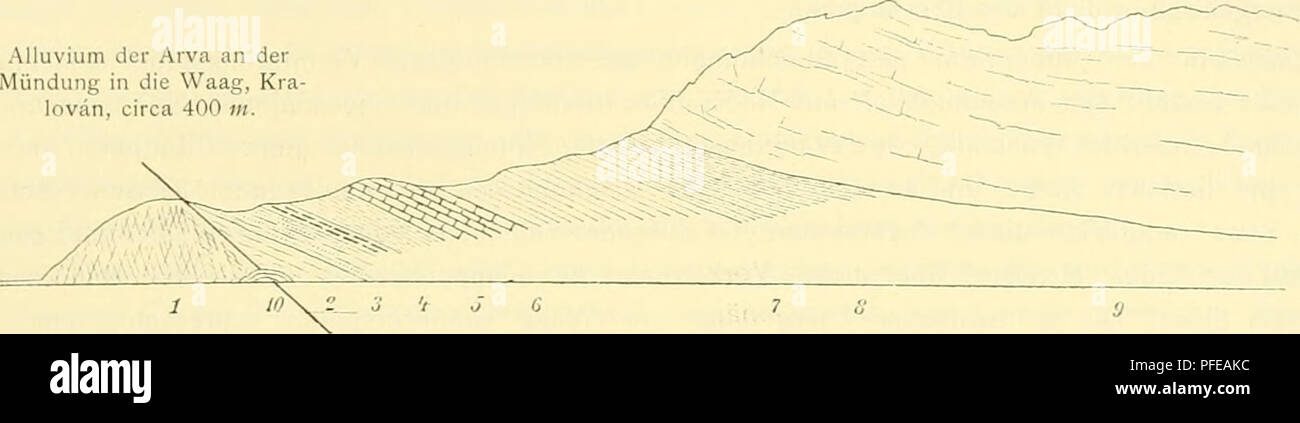 . Denkschriften der Kaiserlichen Akademie der Wissenschaften, Mathematisch-Naturwissenschaftliche Classe. Geologie des Fatrakriväii-Gcbii-ges. 547 Oberjura erkennen lässt. während die zu selhlichem Lehm verwitternden Schiefer unter dem Chocsdolomit jedenfalls dem Oberneocom mit Desnioc. liptavieuse angehören und die Unterlage für die flach liegende Chocsdolomitdecke des eigentlichen Sipberges abgeben (vgl. Textfig. 6). Fig. 6. w Sip, 1169»«. Alluvium der Arva an der Mündung in die Waag, Kra lovän, circa 400 m.. 1. Granit, geklüftet, an der Dislocations- linie mit undeutlicher Parallelstructur. Stock Photo