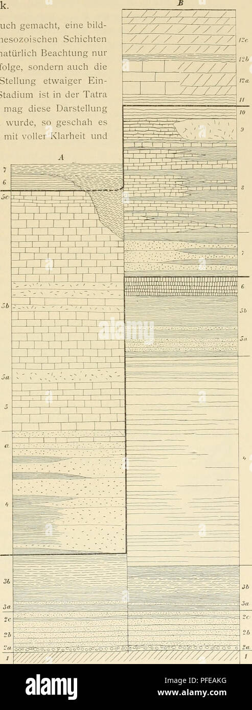 . Denkschriften der Kaiserlichen Akademie der Wissenschaften, Mathematisch-Naturwissenschaftliche Classe. Geologie des Tatragehirges. I. Rückblick. In der beistehenden Tabelle (Fig. 16) ist der Versuch gemacht, eine bild- liche Übersicht über die Entwicklung der permisch-mesozoischen Schichten der Tatra zu vermitteln. Solche Darstellungen können natürlich Beachtung nur in dem Falle beanspruchen, wenn nicht nur die Schichtfolge, sondern auch die Adächtigkeit der Schichtgruppen, die bathrologische Stellung etwaiger Ein- lagerungen etc. genügend genau bekannt sind. Dieses Stadium ist in der Tatra Stock Photo