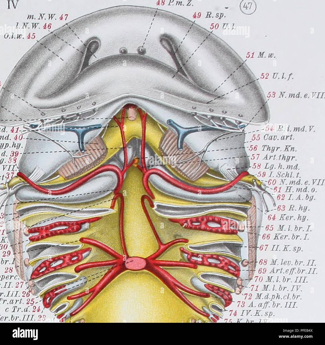 Tr Ix High Resolution Stock Photography And Images Alamy