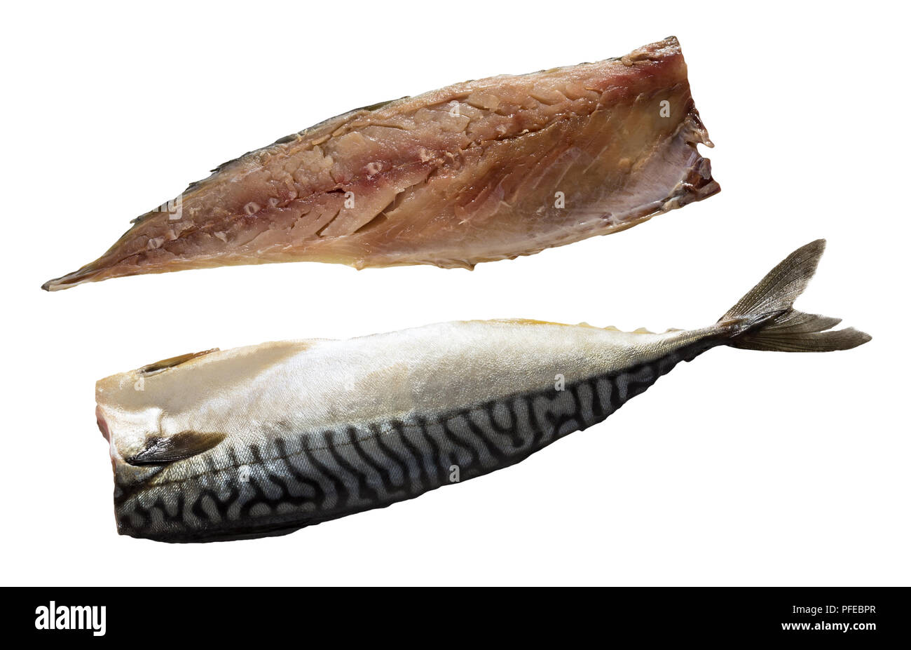 Two raw Fillets of Fresh atlantic mackerel fish isolated on white