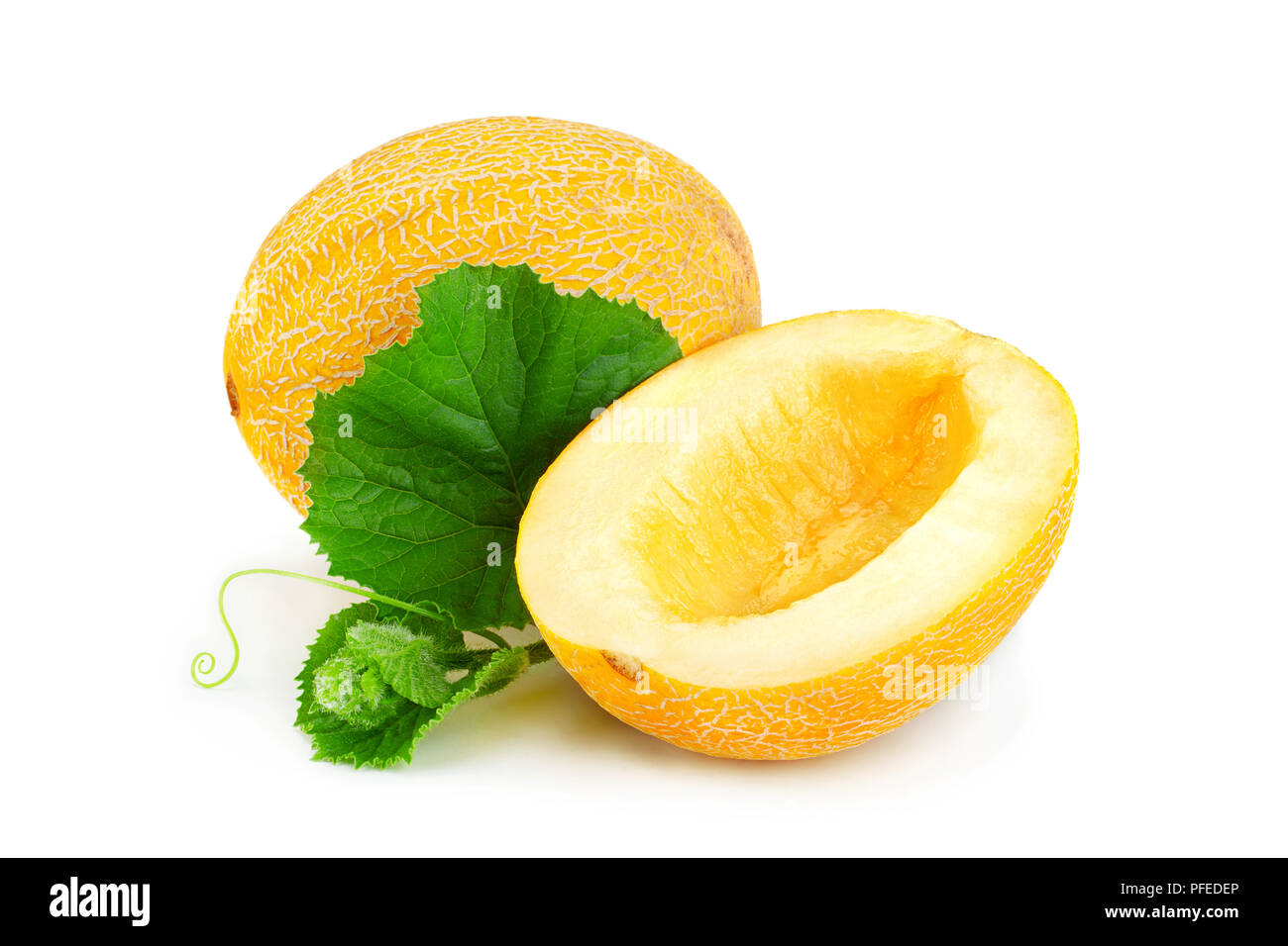 Melon sweet fruit closeup isolated on white background Stock Photo Alamy