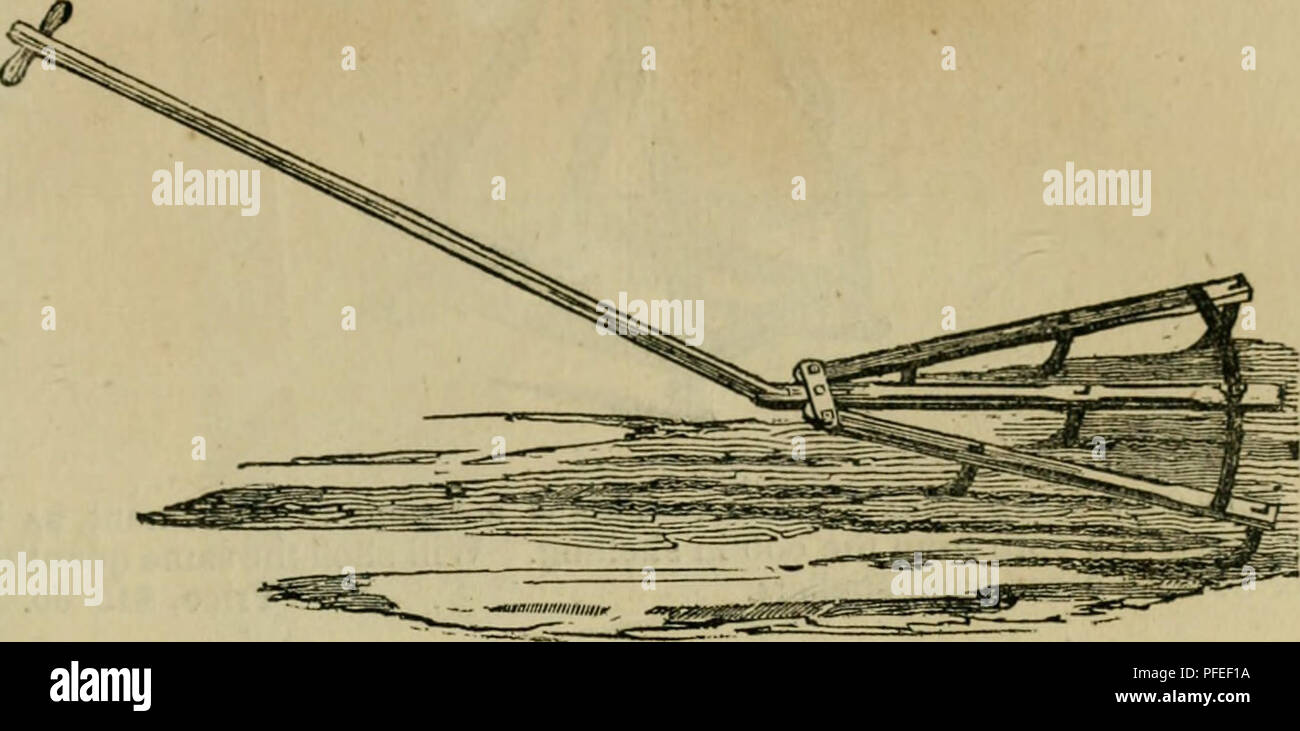 Descriptive Catalogue Of Horticultural And Agricultural