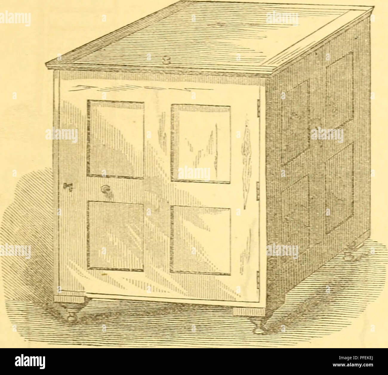 This catalog provides a comprehensive list of Iona vines, detailing