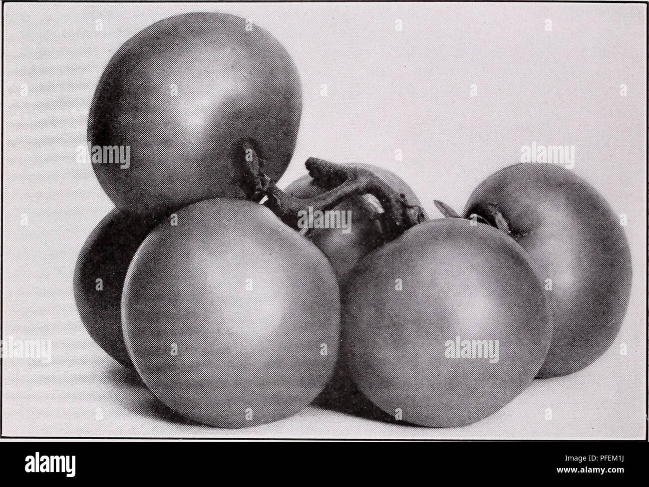 Dr p pritchard hi-res stock photography and images - Alamy