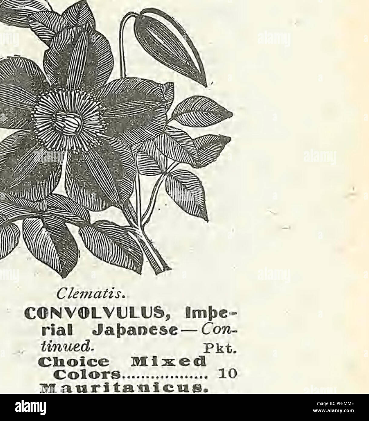 . Descriptive catalogue of vegetable, flower, and farm seeds. Nurseries (Horticulture); Nursery stock; Seeds; Bulbs (Plants); Gardening; Equipment and supplies; Bedding plants; Weeber &amp; Don. 4.6 WEEBER &amp; DON.- FLOWER SEEDS. CYANUS Pkt. (Com Klower, Baclielor's Button). Fine, free-flowering hardy annuals; easily grown and ex- cellent lor cutting. 2 ft. H. A. Imperialls (Griant Corn F'lo-wer). The flowers are of enor- mous size; fragrant, and of the most charming colors, Including white, pink, lilac, rose and purple..... 10 Blue V 5 Emperor William. Deep blue Peroz.jSOc. 5 White 5 F'iues Stock Photo