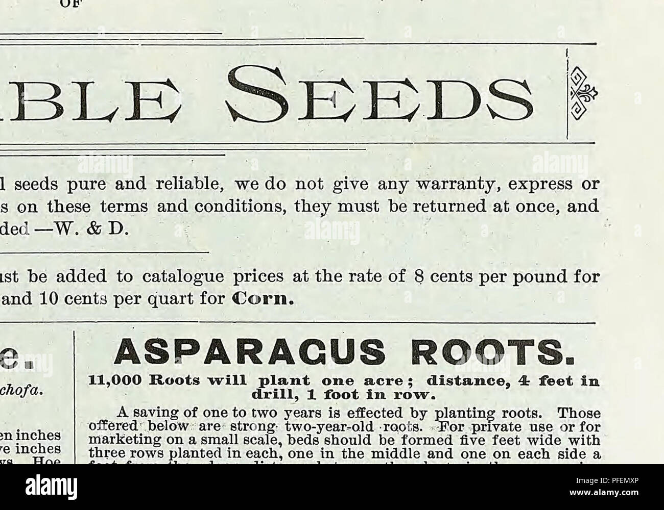 . Descriptive catalogue of vegetable, flower, and farm seeds. Nurseries (Horticulture); Nursery stock; Seeds; Bulbs (Plants); Gardening; Equipment and supplies; Bedding plants; Weeber &amp; Don. 10 WEEBER &amp; DON. VEGETABLE SEEDS. BEANS, Dwarf or Bush. GKEEN PQI&gt; VARIETIES. German, Busch-Bohnen.— French, Haricotsnains.— Spanish., Frijoles. One quart will plant 100 feet of drill. Bush Beans may be had in fine condition throughout the season, by planting at intervals of two weeks, from the beginning of May until the middle of August; they should be planted iu drills three feet apart and one Stock Photo