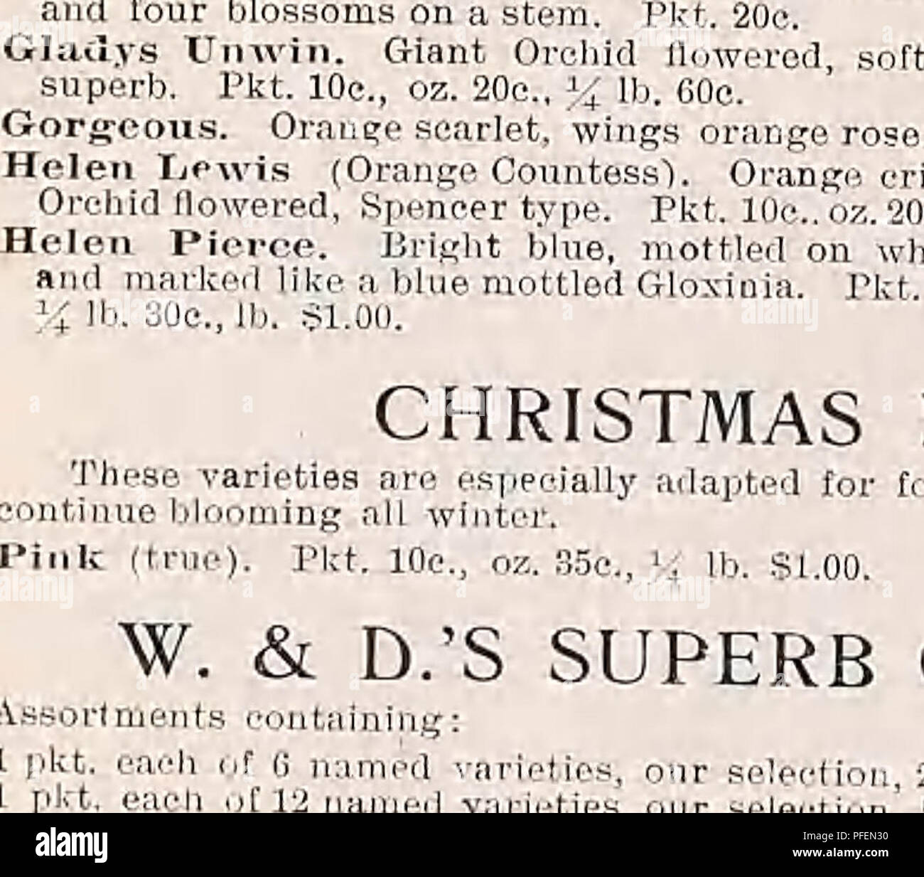 . Descriptive catalogue of vegetable, flower, and farm seeds. Nurseries (Horticulture); Nursery stock; Seeds; Bulbs (Plants); Gardening; Equipment and supplies; Bedding plants; Weeber &amp; Don. PHLOX DBUMMOXDI GliANDlFLORA PHLOX Drummondi Grandiflora For brilliant effect and contin- uous blooming in the flower gar- den, the Phi..x cannot In- surpass- ed. 1 ft. H. A. LARGE-FLOWERING VARIETIES Alba. Pure white. Pkt. 5c. Coccinea. line deep scarlet. PI . in PLTTNIA, OIANT9 OF CALIFORNIA. PERILdLA. Tn habit of ml shrul bl. daily to plants,of the fcil- ry-leaved order. H. S. A. iniata. Leaves are  Stock Photo