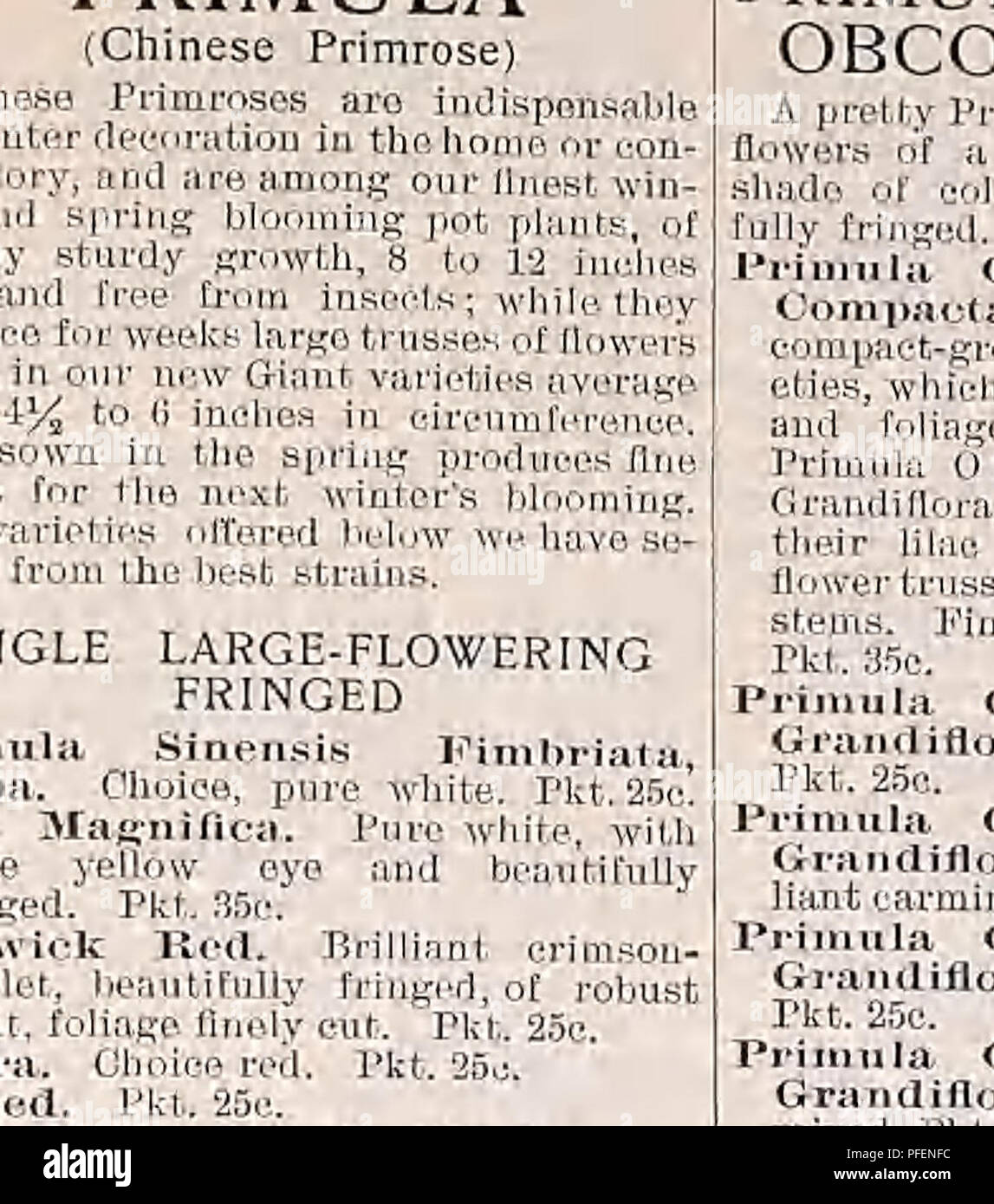 . Descriptive catalogue of vegetable, flower, and farm seeds. Nurseries (Horticulture); Nursery stock; Seeds; Bulbs (Plants); Gardening; Equipment and supplies; Bedding plants; Weeber & Don. Flower Seeds WEEBER & DON. SALVIA SrLKJIDEXS ROCKET Sweefc, A very interesting, usefid and free-flowering plant. Blooming early, it remains beautiful for a long lime in beds, ribbons, etc. H. P. Finest Mixed, iy. It. Pkf.5e.,oz. 20e. ROSA HYBRI DA G R A N tf I - FLORA (Hybrid Perpetual Roses). "Will produce flowering plants in about six months from time of sowing. They are perfectly hardy, dou Stock Photo