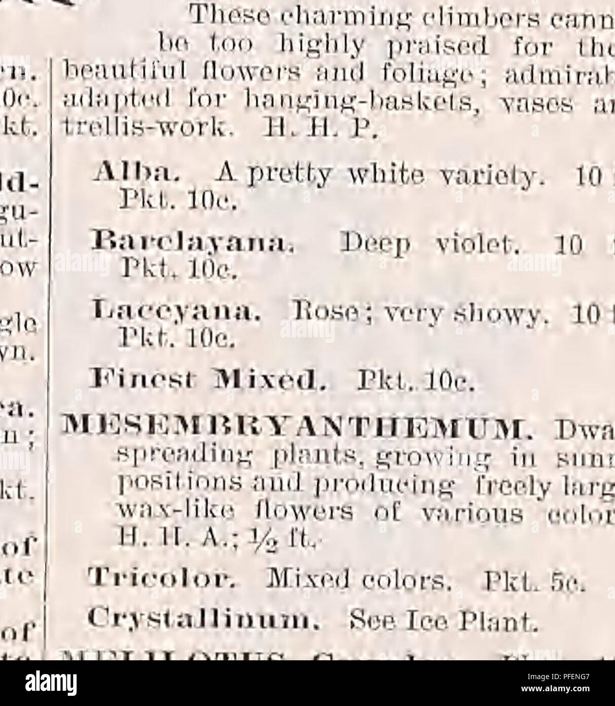 . Descriptive catalogue of vegetable, flower, and farm seeds. Nurseries (Horticulture); Nursery stock; Seeds; Bulbs (Plants); Gardening; Equipment and supplies; Bedding plants; Weeber &amp; Don. MIGNONETTE, MACHET MIN.Y Lobata, Haodsc s, half hardy climbing annual of rapid growth; hearing twin-like racemes of (lowers Which in the bud are orange-red, but open orange-yellow and soon turn to creamy white. 20 ft, Pkt. trie. MOMJCEl/LA Spino.sa. A splendid shell-flower, rose. 7 ft. If. 1'. Pkt. 25c. MOMOftDIOA. Trailing plants, with curious and ornamental foliage and remarkable fruit. H. If. A. lSa Stock Photo