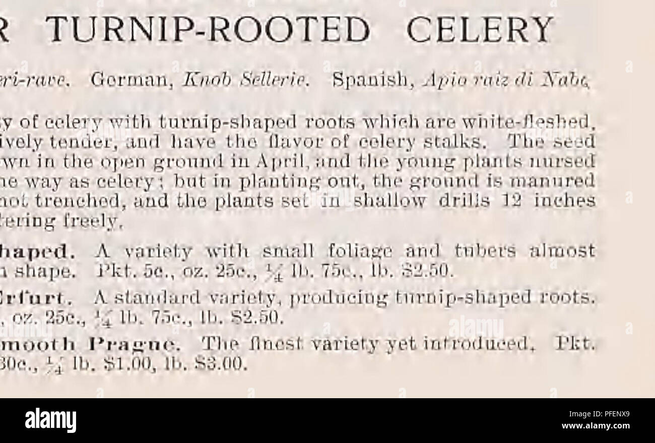 . Descriptive catalogue of vegetable, flower, and farm seeds. Nurseries (Horticulture); Nursery stock; Seeds; Bulbs (Plants); Gardening; Equipment and supplies; Bedding plants; Weeber &amp; Don. CHERVIL German, Kernel. French, Gerfeuil Spanish. Perifollo. The Curled Chervil is cultivated like Parsley, and used for garni'sllW and flavoring soups and salads. The seed of the tuberous rooted is sown in August, and treated like the Carrot, Curled Chervil. The young leaves are used for flavoring soups and salads. Pkt. 5c, oz. 10c, % lb. 30c, lb. SI.00. Tuberous Rooted. Prepared for the table like Ca Stock Photo