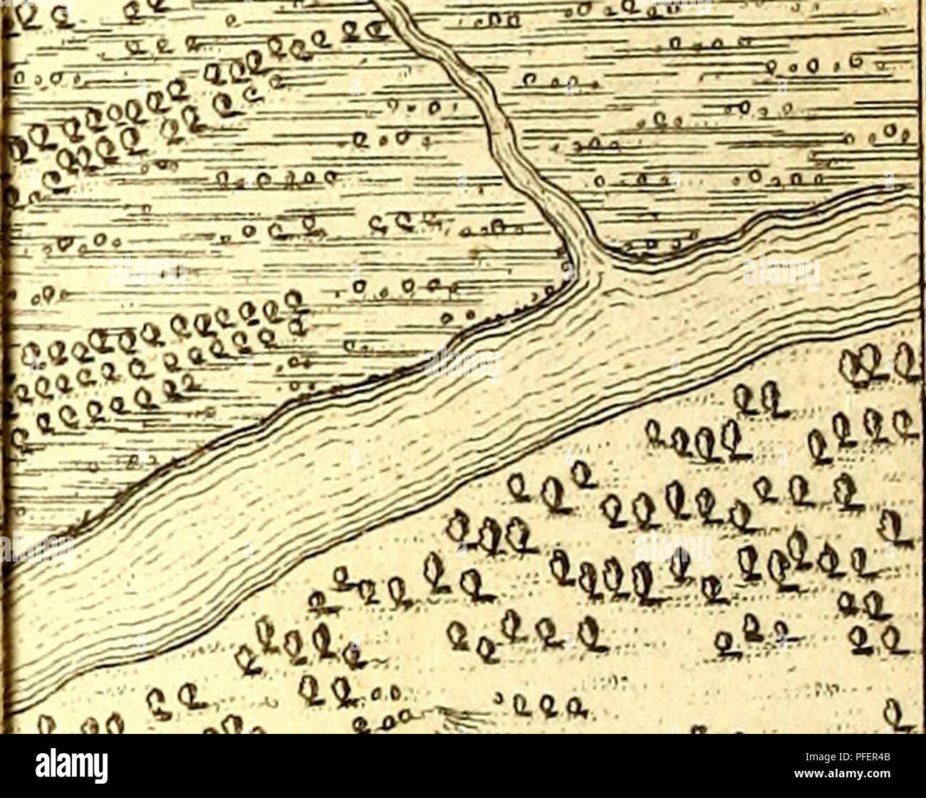 . A description of the Spanish islands and settlements on the coast of the West Indies : compiled from authentic memoirs, revised by gentlemen who have resided many years in the Spanish settlements : and illustrated with thirty-two maps and plans, chiefly from original drawings taken from the Spaniards in the last war. . US'. Please note that these images are extracted from scanned page images that may have been digitally enhanced for readability - coloration and appearance of these illustrations may not perfectly resemble the original work.. Jefferys, Thomas, -1771. London : Printed for T. Je Stock Photo