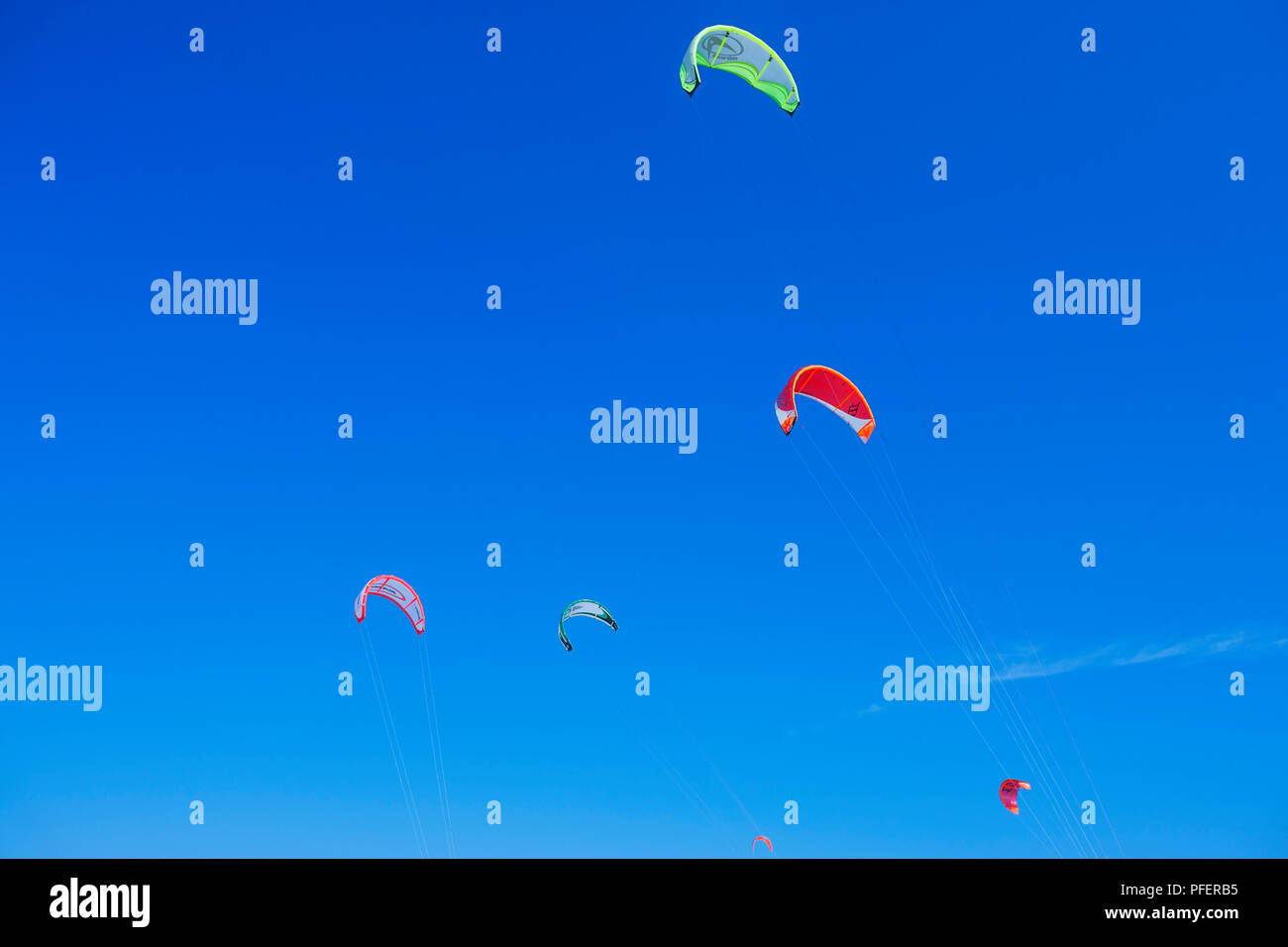 Kites flying high in the sky, Tarifa, Costa de la Luz, Cadiz Province, Andalusia, Spain. Europe