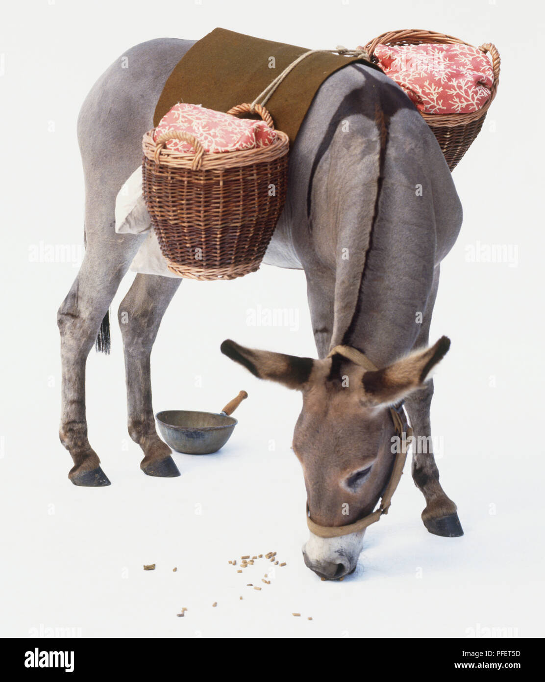 Donkey with baskets hi-res stock photography and images - Alamy