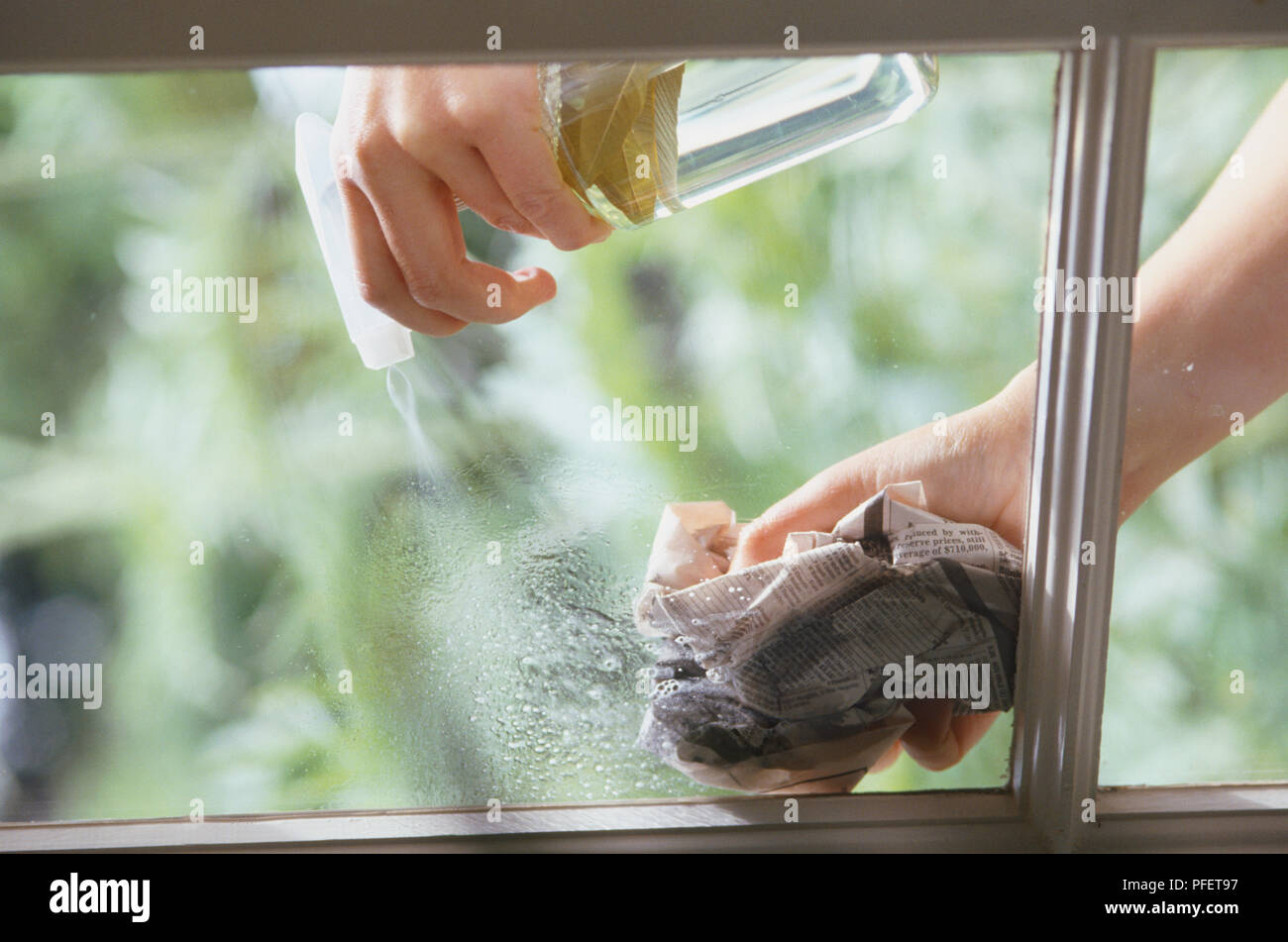 Mixture of vinegar and Lemon Verbena leaves being sprayed onto a glass window being cleaned