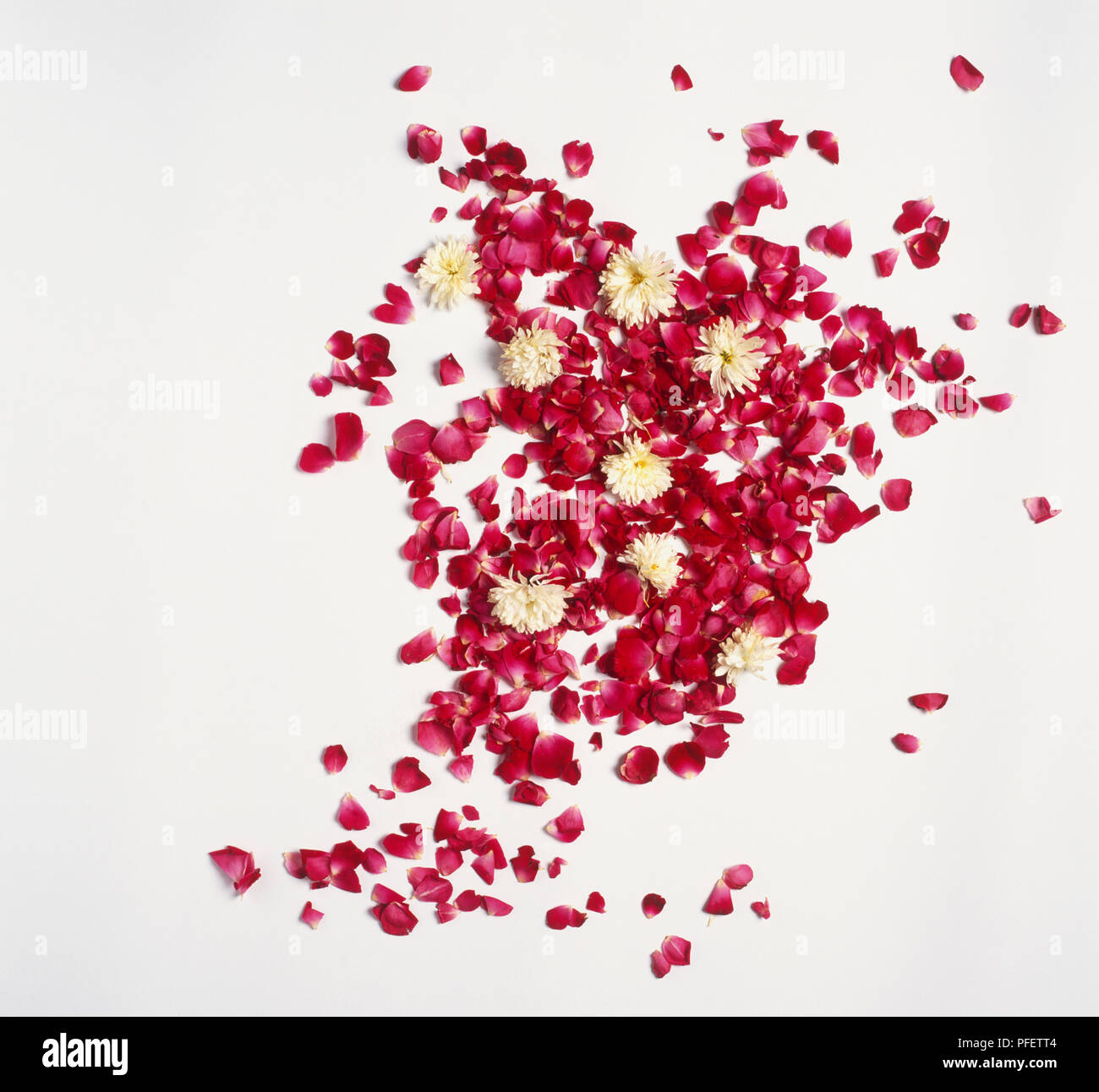 India, white flowerheads and pink rose petals used in Hindu rituals