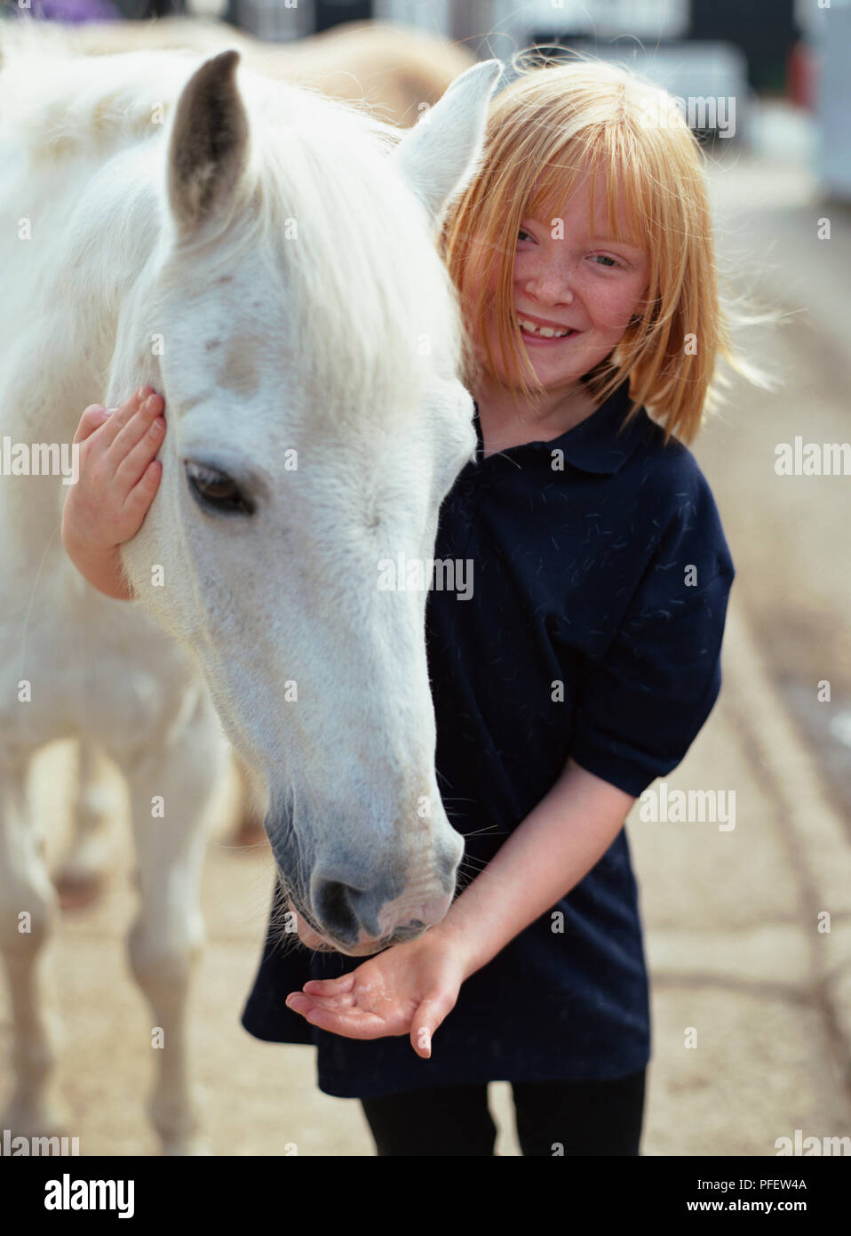 Young girl in blue top holding head of a white horse, other hand under horses mouth. Stock Photo