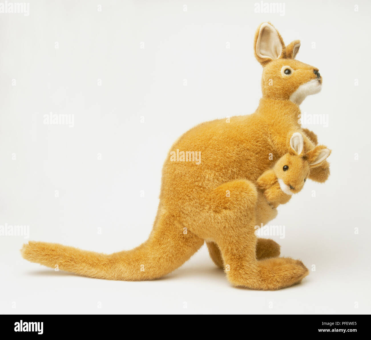 kangaroo and joey soft toy