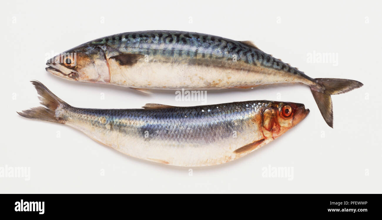 Bottom side view hi-res stock photography and images - Alamy