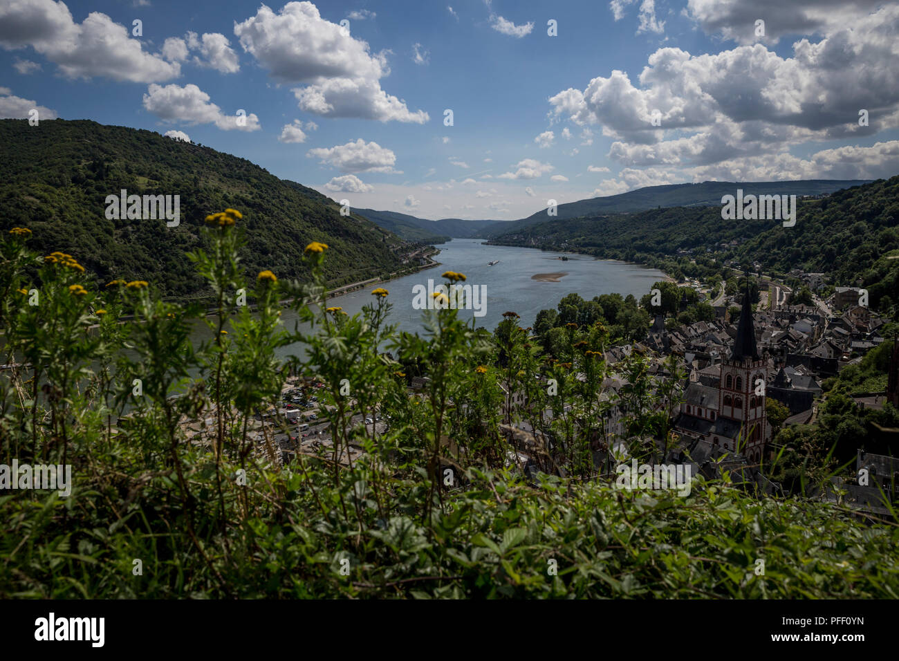 A view of Bacharach and the River Rhine from the surrounding vineyards in Bacharach, Germany. Stock Photo