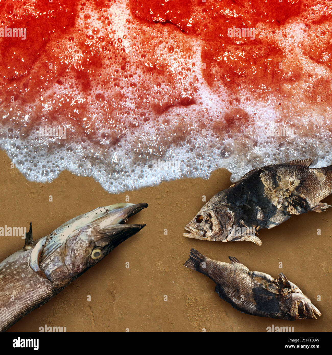 Red tide algae deadly natural toxin found in the ocean or sea as a marine life death concept as a conceptual in a 3D illustration style. Stock Photo