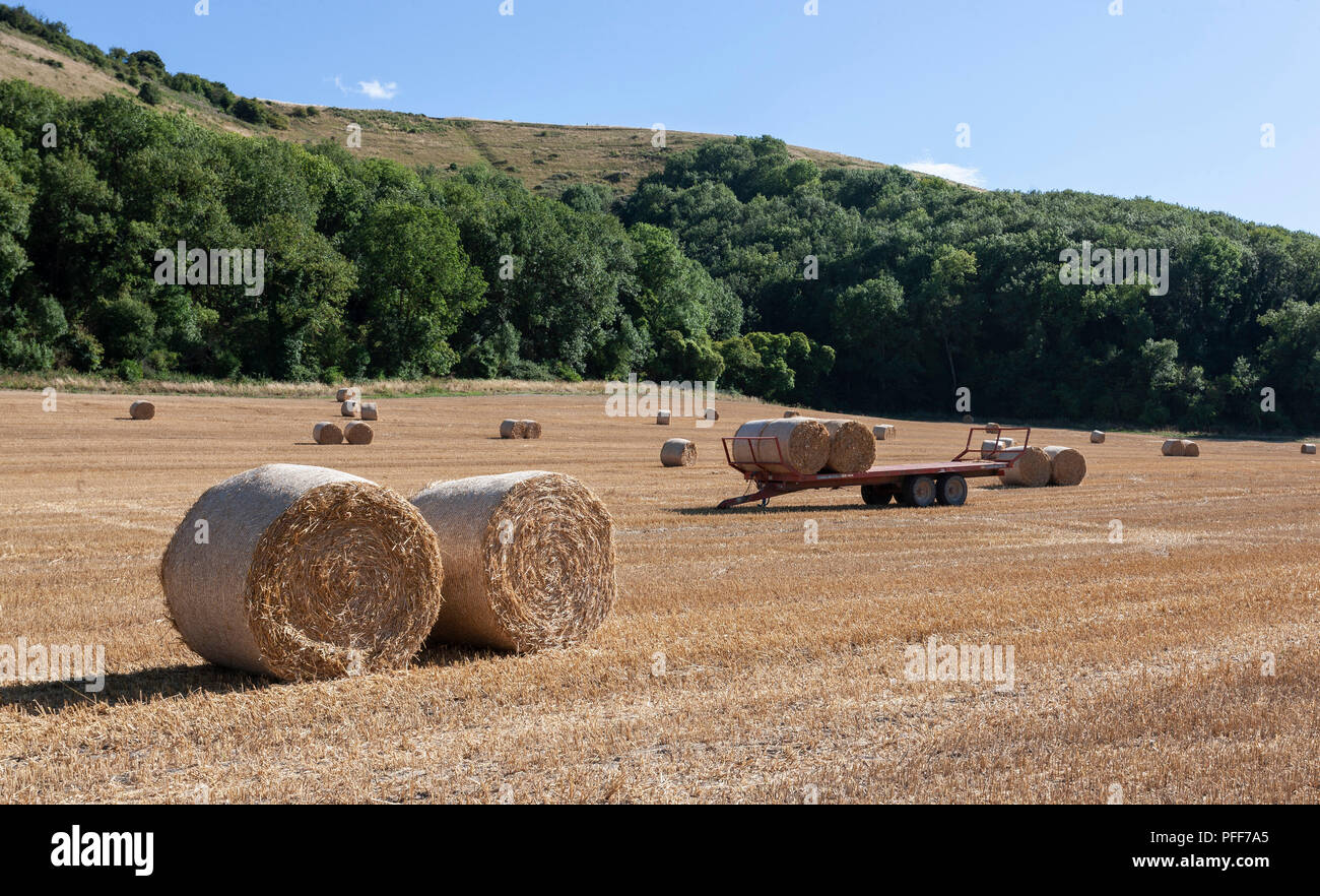 Round bales of hay in a newly harvested field in West Sussex Stock ...