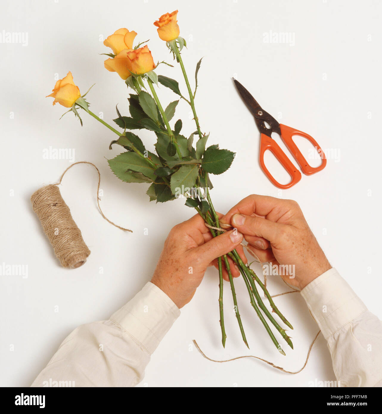 Long stemmed yellow roses hi-res stock photography and images - Alamy
