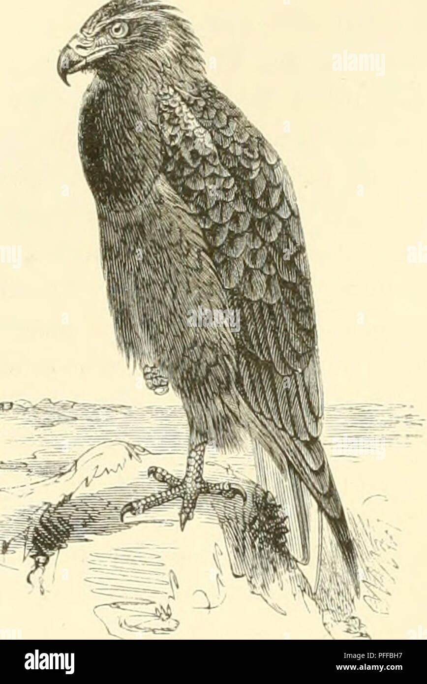 Ic 11 Hi Res Stock Photography And Images Page 3 Alamy Ic 11 Hi Res Stock Photography And Images Page 3 Alamy