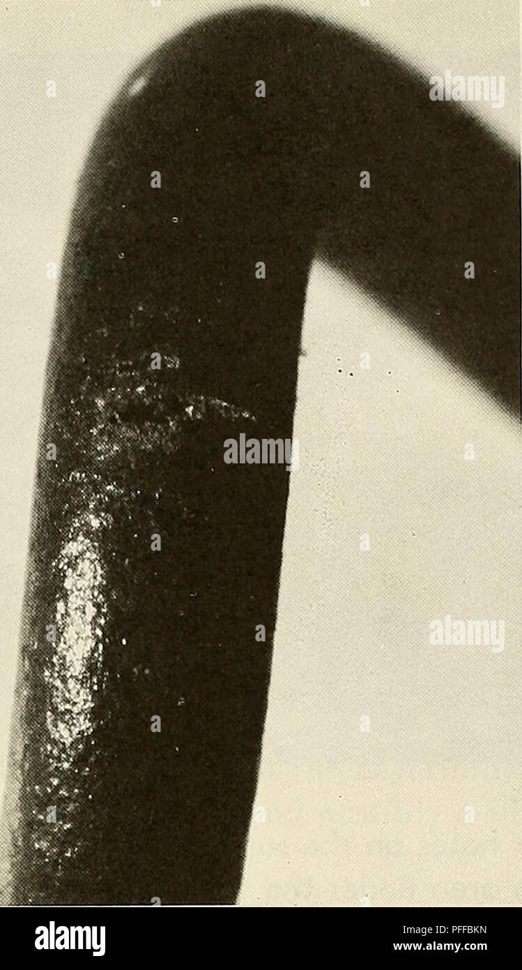 . Deepocean biodeterioration of materials. Materials; Marine sediments. Figure 28. Deep cracks