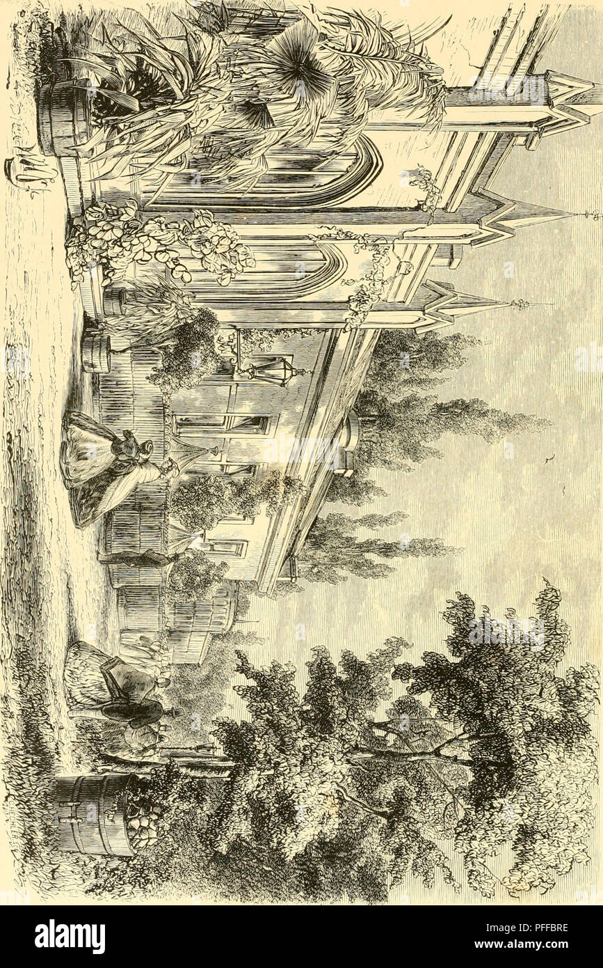 . De Dierentuin van het Koninklijk Zoologisch Genootschap Natura Artis Magistra te Amsterdam. Zoos; Birds. . Please note that these images are extracted from scanned page images that may have been digitally enhanced for readability - coloration and appearance of these illustrations may not perfectly resemble the original work.. Schlegel, H. (Hermann), 1804-1884; Witkamp, Pieter Harme, 1816-1892; Es, Gerard W. H. van. Amsterdam : Van Es. Stock Photo