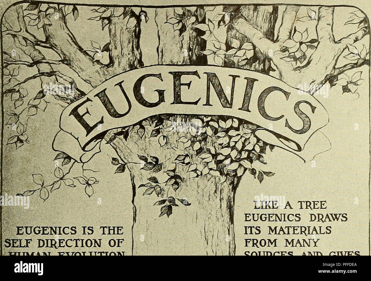 . A decade of progress in eugenics; scientific papers of the third International congress of eugenics, held at American musuem of natural history, New York, August 21-23, 1932 ... Committee on publication, Harry F. Perkins, chairman ... Harry H. Laughlin, secretary. Eugenics. A DECADE OF PROGRESS IN EUGENICS PLATE 1. EUGENICS IS THE SELF DIRECTION OF HUMAN EVOLUTION. Please note that these images are extracted from scanned page images that may have been digitally enhanced for readability - coloration and appearance of these illustrations may not perfectly resemble the original work.. Internati Stock Photo