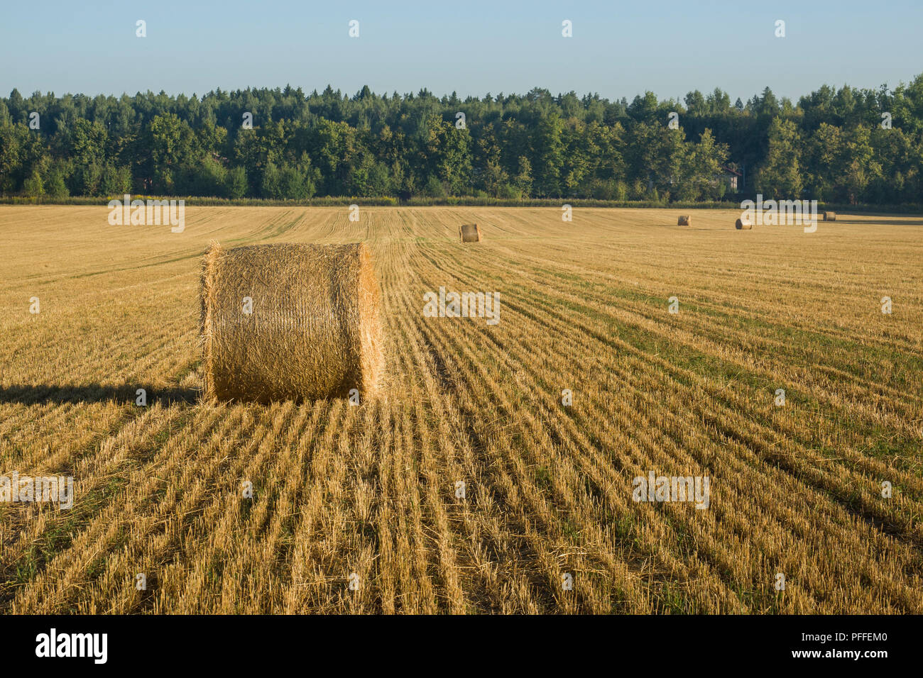Beautiful Summer Farm Scenery with Haystacks. Agriculture Concept Stock ...