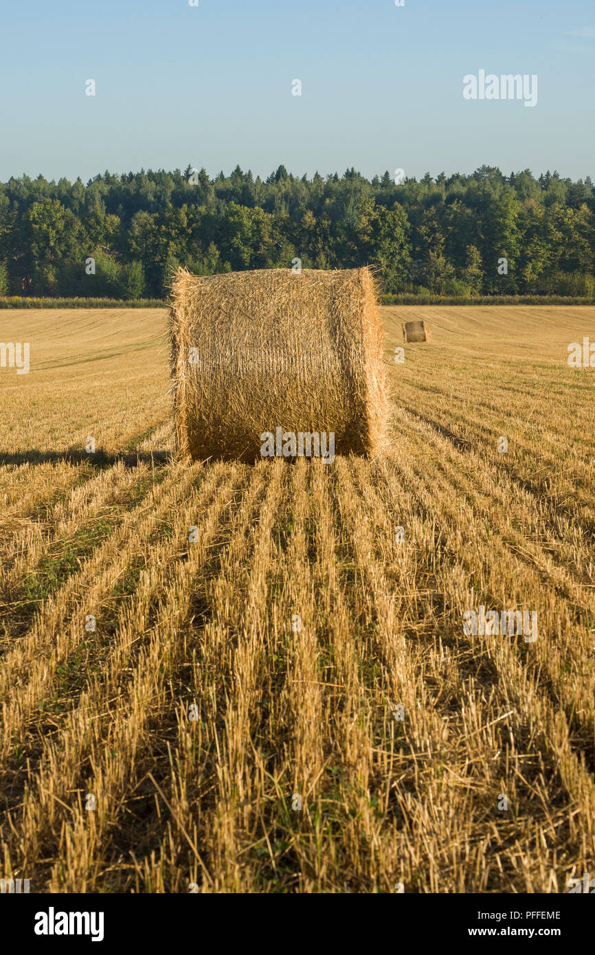 Beautiful Summer Farm Scenery with Haystacks. Agriculture Concept Stock ...