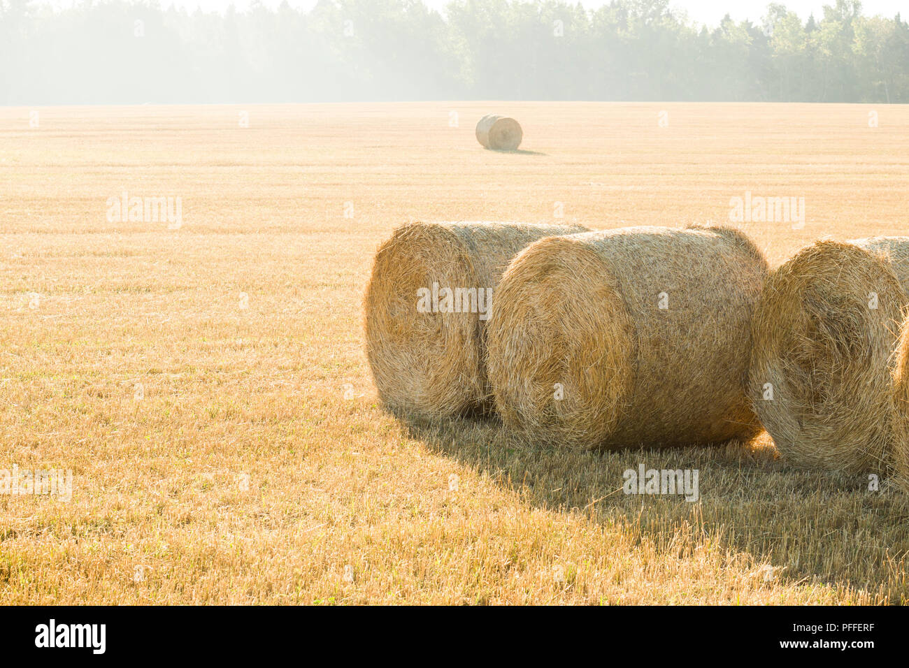 Beautiful Summer Farm Scenery with Haystacks. Agriculture Concept ...