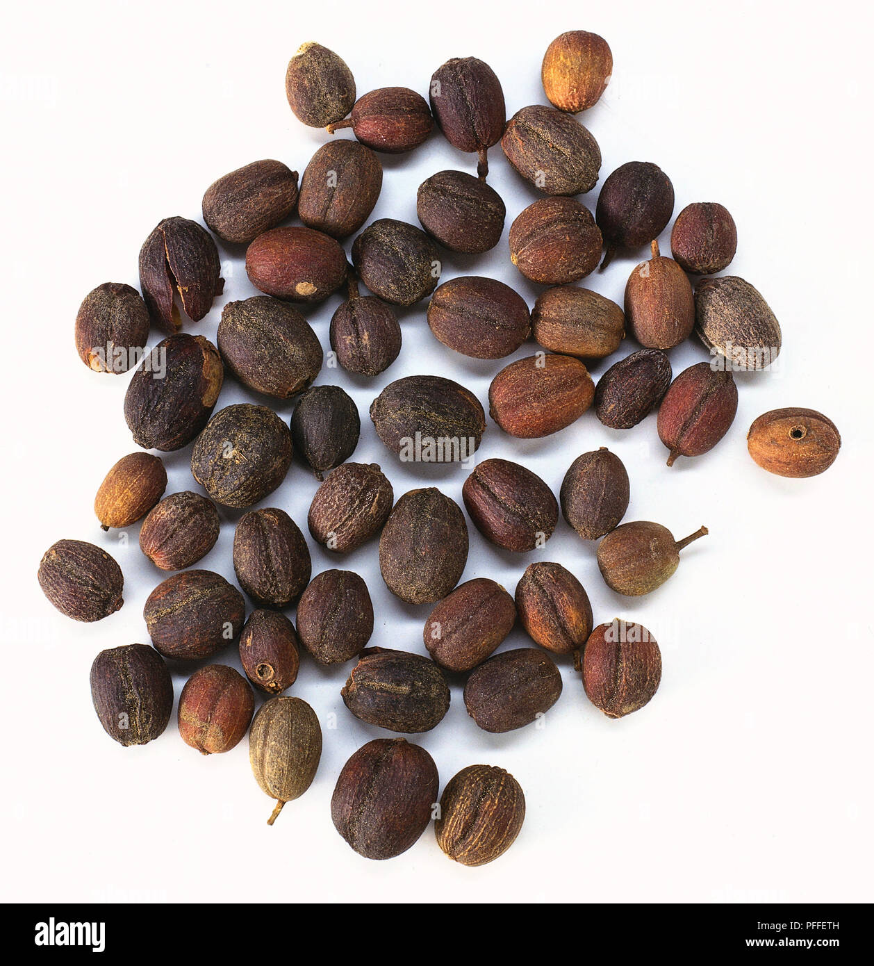 Unroasted Coffee Beans Stock Photo Alamy