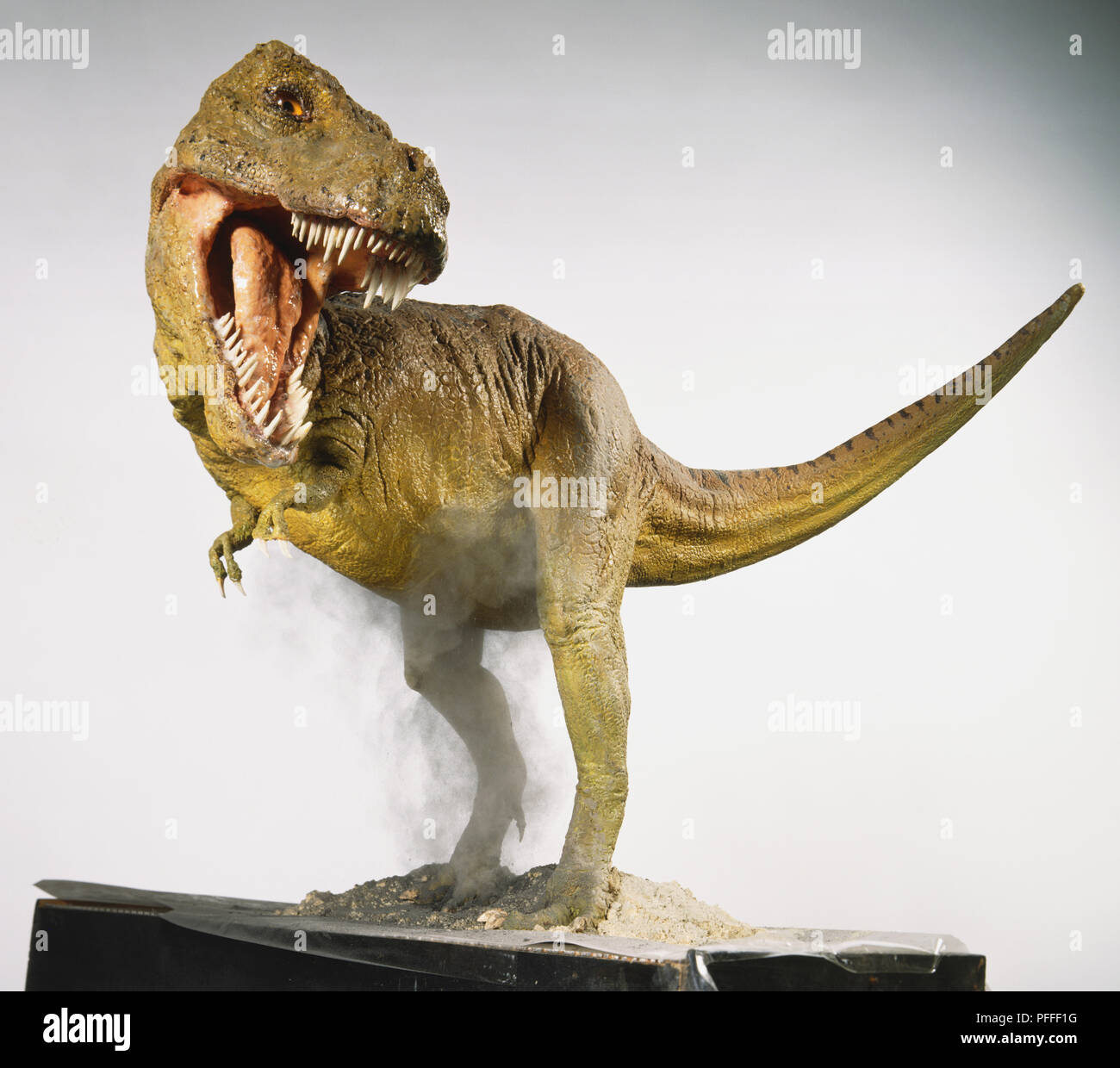 Carnosaurs hi-res stock photography and images - Alamy