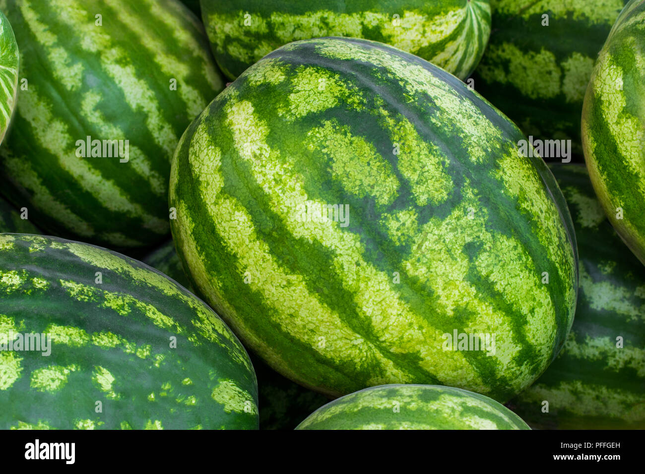 Close up of a pile of beautiful delicious green watermelons on the ...