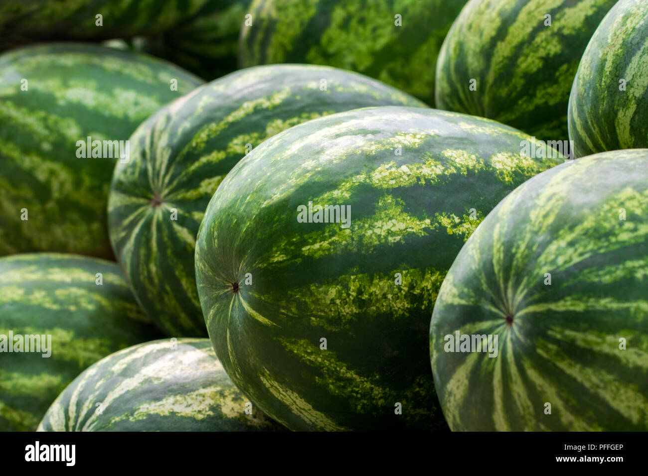 Close up of a pile of beautiful delicious green watermelons on the ...