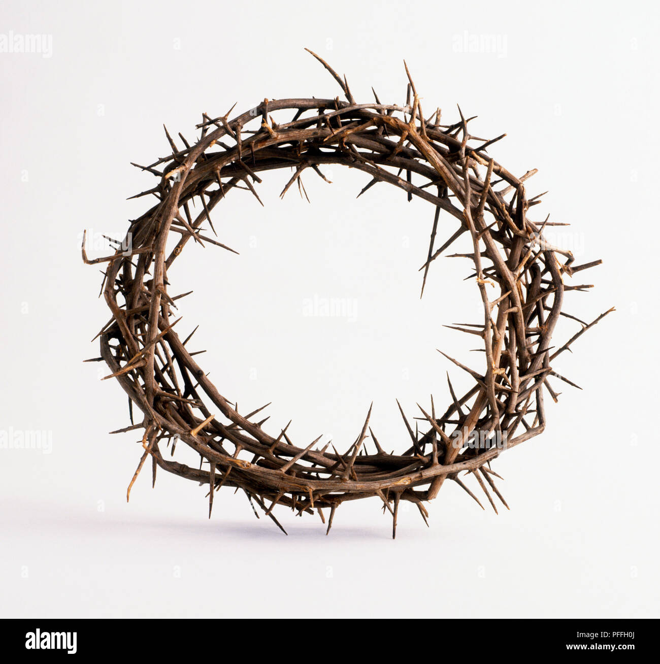 Crown thorns hi-res stock photography and images - Alamy