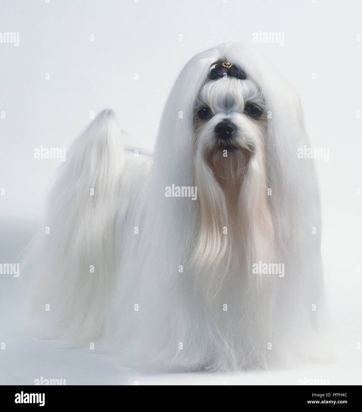 P f h. Usb type-c ip 68. Разъем герметичный usb, тип а 12662. P f h. Розетка cgrrjs-5epffj-sc7001.