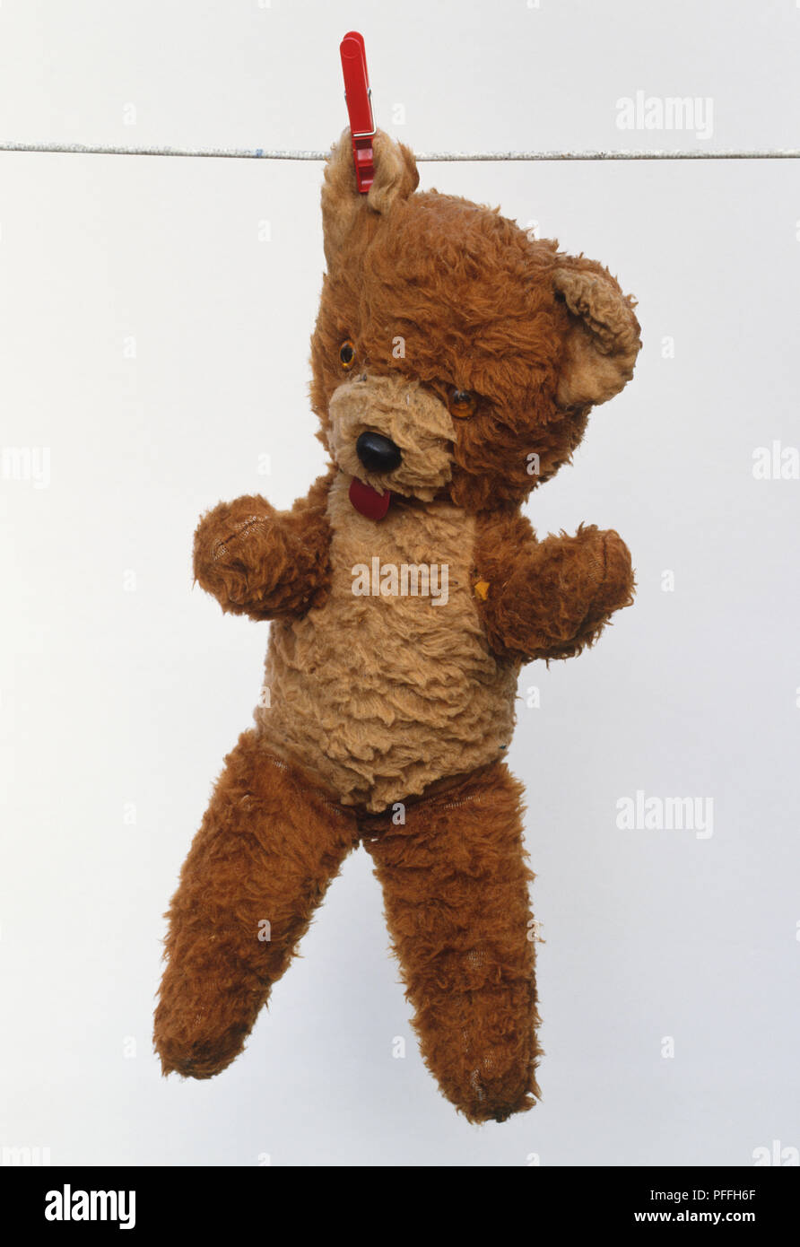 Teddy bear on a washing line hires stock photography and images Alamy