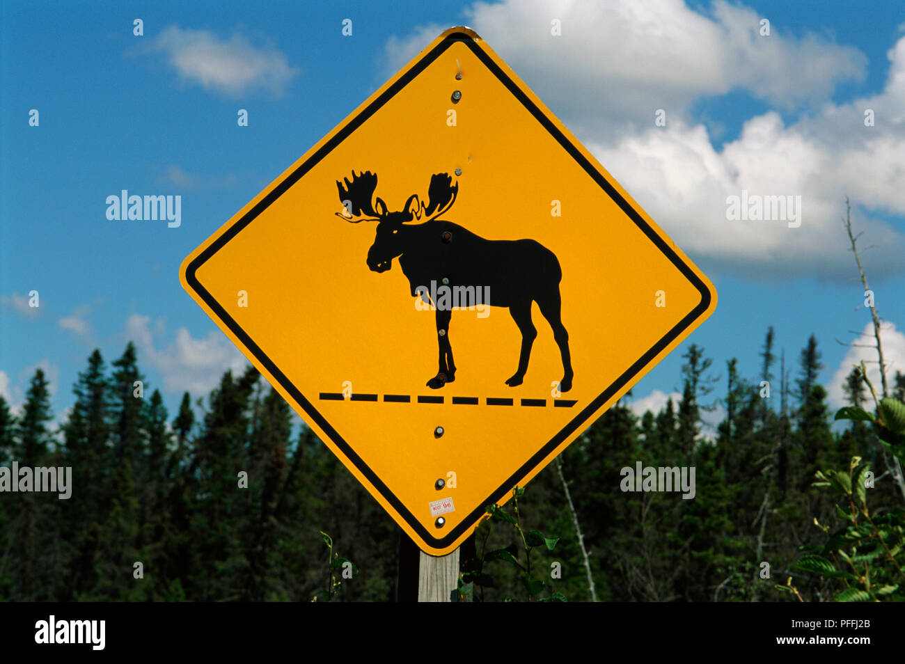 Moose crossing sign Stock Photo Alamy