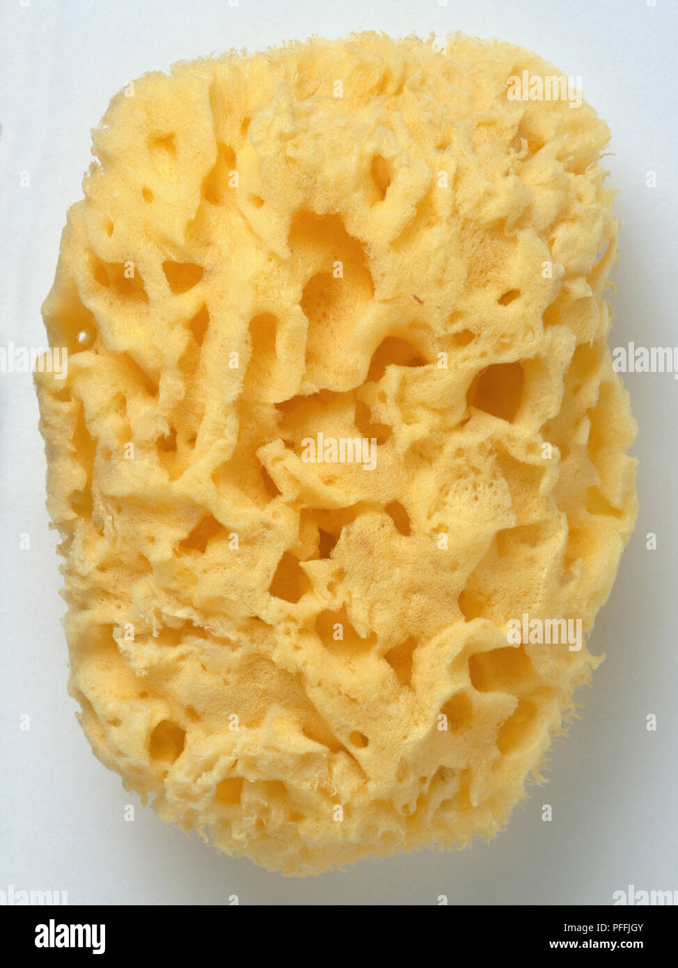 Sponge Side Sponge view hi-res stock photography and images - Alamy