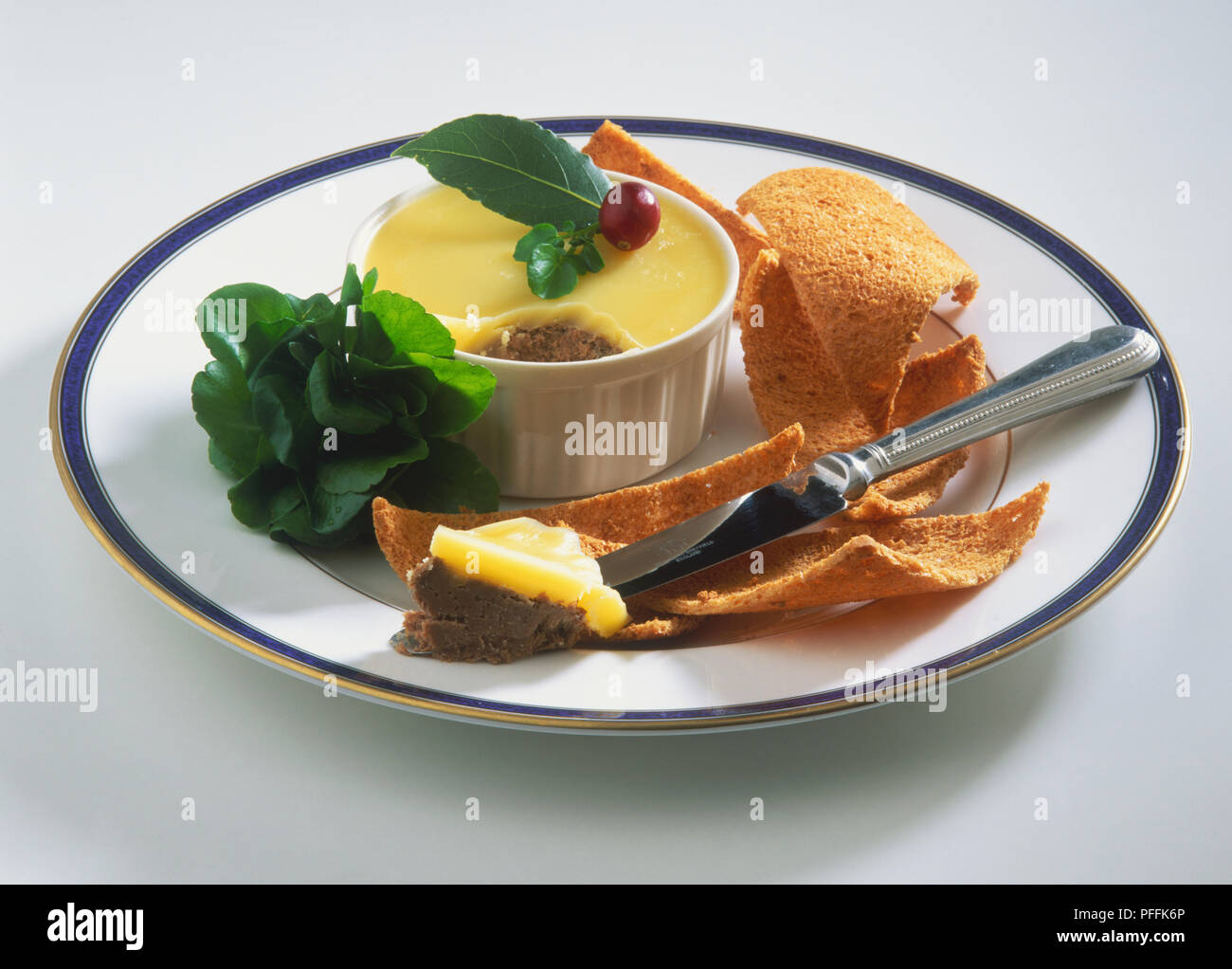 Potted venison served on a blue-rimmed white plate, with a cress garnish and corn chips, high angle view Stock Photo